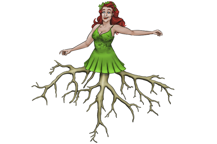 Raíz is feminine, so it's la raíz. Imagine a lady with roots instead of legs.